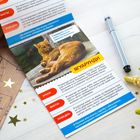 Мини-энциклопедия «Кошки дикие», 20 стр. - Фото 2