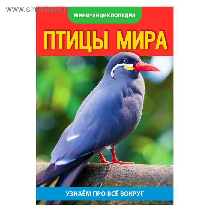 Мини-энциклопедия «Птицы мира», 20 стр. - Фото 1