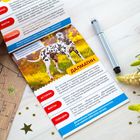 Мини-энциклопедия «Собаки», 20 стр. - Фото 2