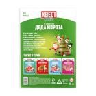 Квест-книга игра «В поисках Деда Мороза», 22 страницы - Фото 4