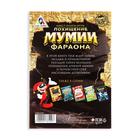 Квест книга-игра «Похищение мумии Фараона», 22 страницы, 8+ - Фото 4