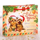 Пакет ламинированный горизонтальный «Посылка от Деда Мороза», 23 × 18 × 8 см - Фото 1