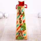 Пакет ламинированный горизонтальный «Посылка от Деда Мороза», 23 × 18 × 8 см - Фото 2
