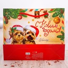 Пакет ламинированный горизонтальный «Посылка от Деда Мороза», 23 × 18 × 8 см - Фото 3