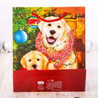 Пакет ламинированный вертикальный «Доброго Нового года!», 23 × 27 × 8 см - Фото 3
