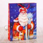 Пакет ламинированный вертикальный «Дед Мороз», 31 × 40 × 9 см - Фото 1