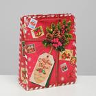 Пакет ламинированный вертикальный «Подарок от Деда Мороза», MS 18 × 23 × 11,5 см - фото 317992829