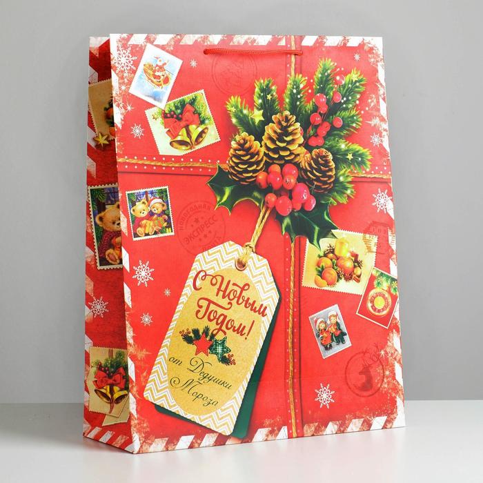 Пакет ламинированный вертикальный «Подарок от Деда Мороза», 31 × 40 × 11,5 см - Фото 1