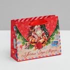 Пакет ламинированный горизонтальный «Почта Деда Мороза», 23 × 18 × 8 см - Фото 1