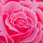 Комплект штор Китайские розы 150х270 +/- 3см 2шт, габардин, п/э - Фото 2
