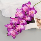 Цветы искусственные "Орхидея амабилис" 90 см, сиреневый - фото 317993247