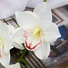 Цветы искусственные "Орхидея амабилис" 90 см, белый - Фото 2