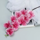 Цветы искусственные "Орхидея Тигровая" 90 см, красно-белый - Фото 1