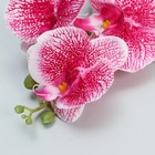 Цветы искусственные "Орхидея Тигровая" 90 см, красно-белый - Фото 2