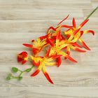Цветы искусственные "Орхидея Цимбидиум ланцетолистный" 90 см, оранжевая - Фото 1