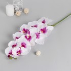 Цветы искусственные "Орхидея Галатея" 95 см, бело-фиолетовый - фото 3679776