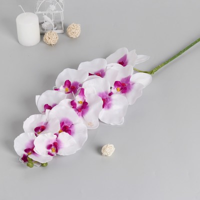 Цветы искусственные "Орхидея Галатея" 95 см, бело-фиолетовый