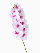Цветы искусственные «Орхидея Галатея», h=95 см, бело-фиолетовые - фото 53779155