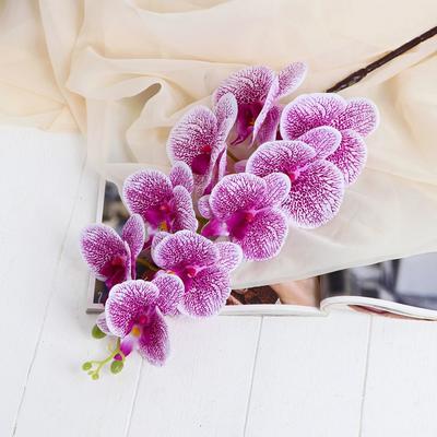 Цветы искусственные "Орхидея Тигровая" 90 см, бело-сиреневый