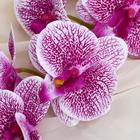 Цветы искусственные "Орхидея Тигровая" 90 см, бело-сиреневый - Фото 2