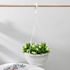 Кашпо для цветов подвесное с прикорневым поливом «Мальва», 4.7 л, белое - Фото 1
