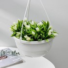 Кашпо для цветов подвесное с прикорневым поливом «Мальва», 4.7 л, белое - Фото 2