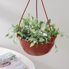 Кашпо для цветов подвесное с прикорневым поливом Plast-Avenue «Мальва», 4.7 л, пластик, терракотовый - Фото 3