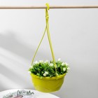 Кашпо для цветов подвесное с прикорневым поливом «Мальва», 4.7 л, цвет фисташковый - Фото 1