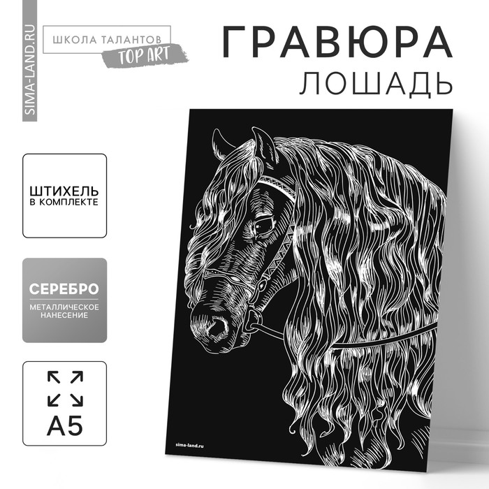 Гравюра «Лошадь» с металлическим эффектом серебра А5 - Фото 1