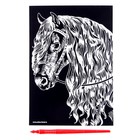 Гравюра «Лошадь» с металлическим эффектом серебра А5 - Фото 2