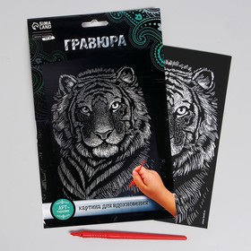 Гравюра «Тигр» с металлическим эффектом «серебро» А5 (комплект 6 шт)