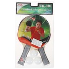 Набор для настольного тенниса Double Fish 2 ракетки и 3 мяча (301) - Фото 1