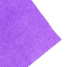 Бумага креповая поделочная гофро Koh-I-Noor 50 x 200 см 9755/29 фиолетовая темная, в рулоне - фото 317993590
