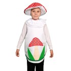 Карнавальный костюм «Гриб мухомор», текстиль, накидка, маска-шапочка, рост 98-122 см - фото 25011753