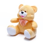 Мягкая игрушка «Медведь», 25 см, МИКС - Фото 12