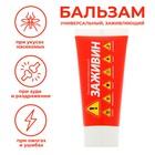 Бальзам «Заживин»универсальный, 50 мл - Фото 1