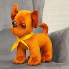 Мягкая игрушка «Собачка Чи-Хуа-Хуа», 35 см - Фото 1