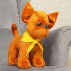 Мягкая игрушка «Собачка Чи-Хуа-Хуа», 35 см - Фото 3
