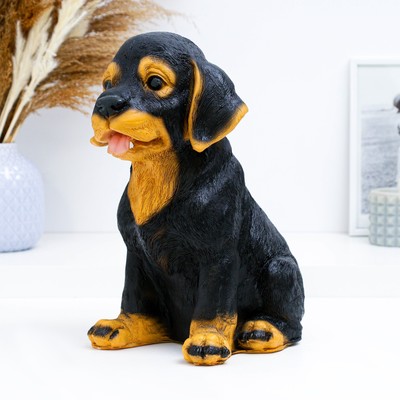 Копилка для денег «Щенок Ротвейлера», полистоун, 23×19×28 см