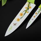 Набор кухонных принадлежностей Доляна «Нарцисс», 3 предмета: 2 ножа с антиналипающим покрытием, лезвие 12 см, овощечистка, 20×4 см, цвет зелёный - Фото 2