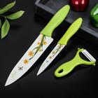 Набор кухонных принадлежностей Доляна «Нарцисс», 3 предмета: 2 ножа с антиналипающим покрытием, лезвие 12 см, овощечистка, 20×4 см, зелёный - Фото 3