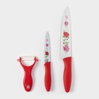 Набор кухонных принадлежностей Доляна «Нарцисс», 3 предмета: 2 ножа с антиналипающим покрытием, лезвие 12 см, овощечистка, 20×4 см, красный - Фото 1