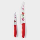 Набор кухонных принадлежностей Доляна «Нарцисс», 3 предмета: 2 ножа с антиналипающим покрытием, лезвие 12 см, овощечистка, 20×4 см, красный - Фото 2