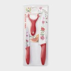 Набор кухонных принадлежностей Доляна «Нарцисс», 3 предмета: 2 ножа с антиналипающим покрытием, лезвие 12 см, овощечистка, 20×4 см, красный - Фото 6