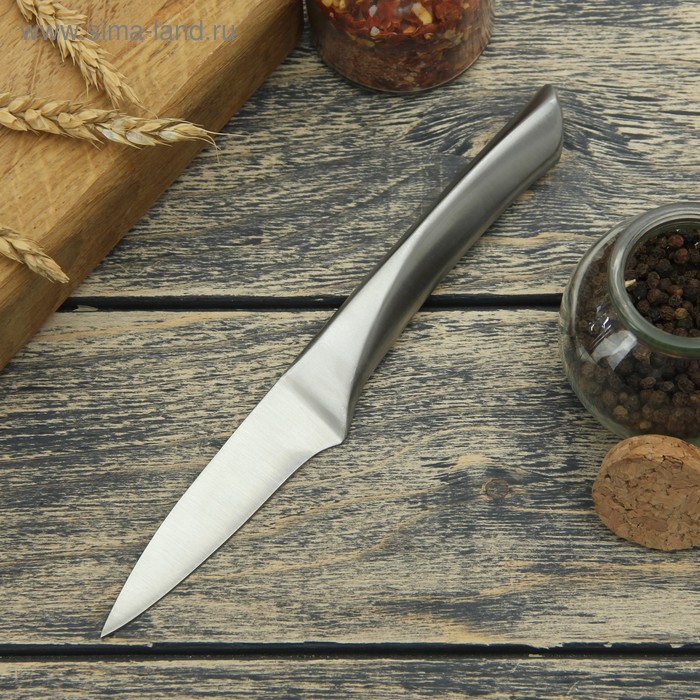 Нож для овощей кухонный Доляна «Молния», лезвие 9 см, цельнометаллический - Фото 1