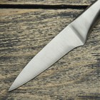 Нож для овощей кухонный Доляна «Молния», лезвие 9 см, цельнометаллический - Фото 2