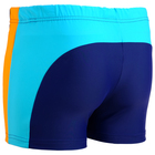 Плавки-шорты взрослые для плавания, размер 52 - Фото 2