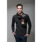 Шарф мужской «Карлтон», 30 × 170 см, ТМ «Этель», хлопок 80 %, акрил 20 % - Фото 1