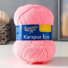 Пряжа Karapuz Eco (КарапузЭко) 90% акрил, 10% капрон 125м/50гр розовый (20) 2512985 - фото 8570649