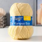 Пряжа Karapuz Eco (КарапузЭко) 90% акрил, 10% капрон 125м/50гр шампанск (772) 2512989 - фото 8570661